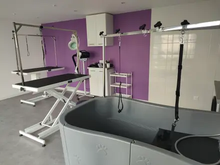 Le bac de bain du salon